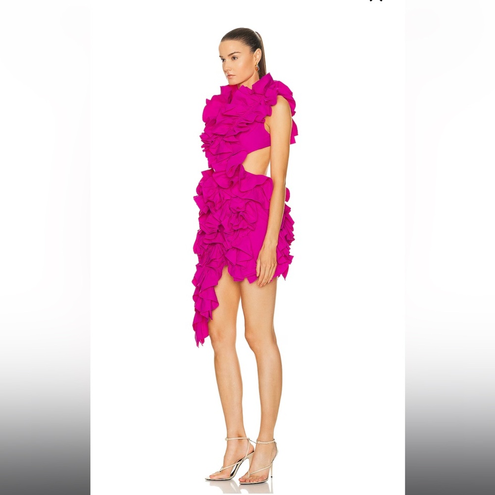 AKNVAS
Olive Ruffle Dress
Color: Hibiscus
Size: 4 - Picture 4 of 5